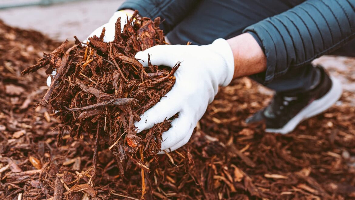 Homeowner warned after sharing plans to use hazardous landscaping product: ‘Toxic’ When one homeowner took to Reddit to ask for advice about a landscaping idea, they probably didn't expect to spark a strong reaction.