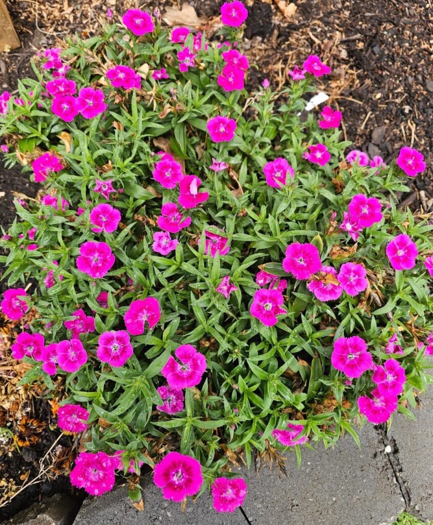 Melbourne, Australia