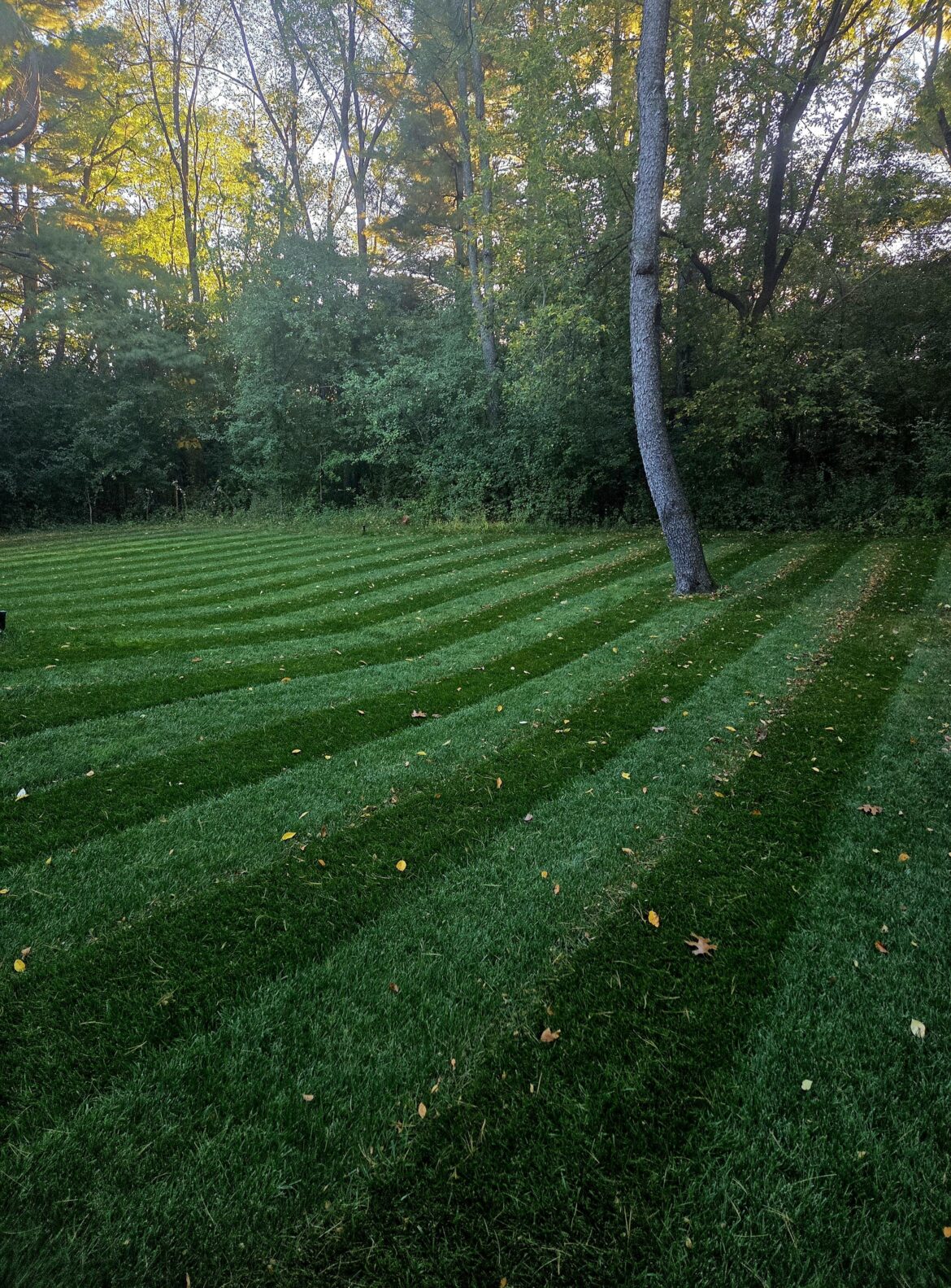 Love me some fall stripes. No broom necessary.