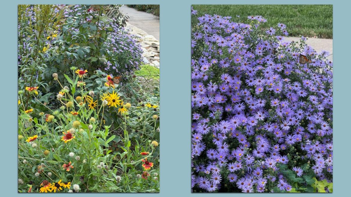 Axios on native gardening