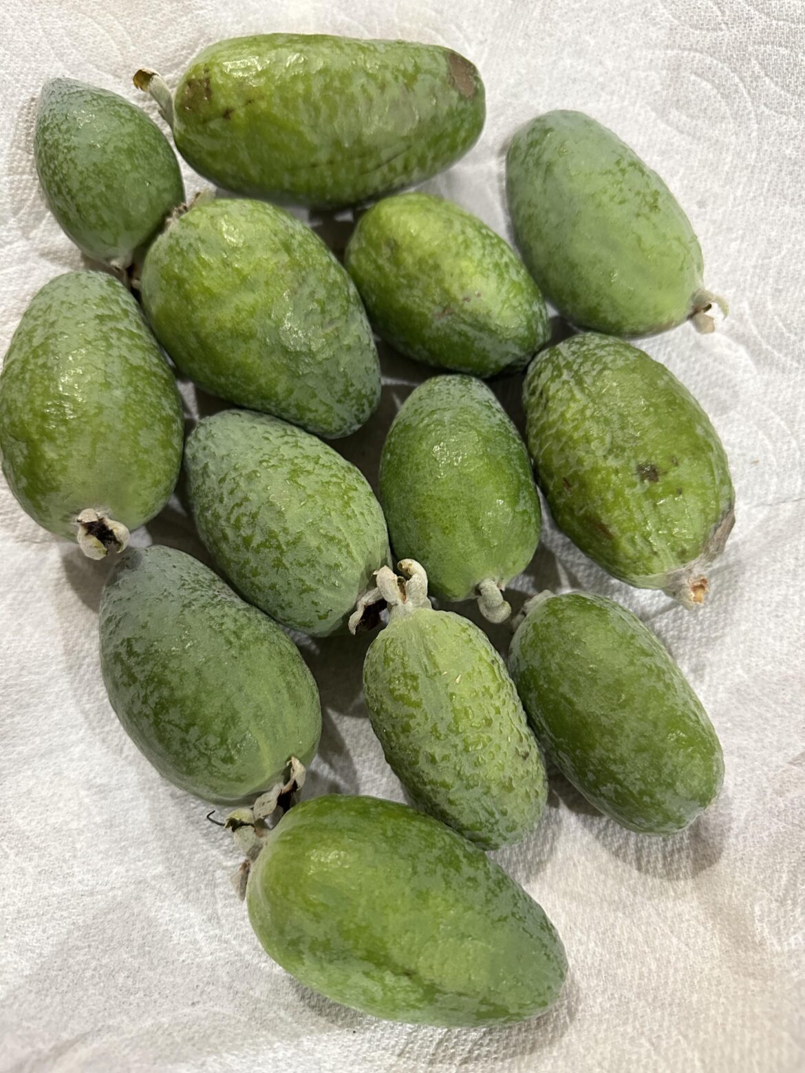 Anyone know what fruit this is?