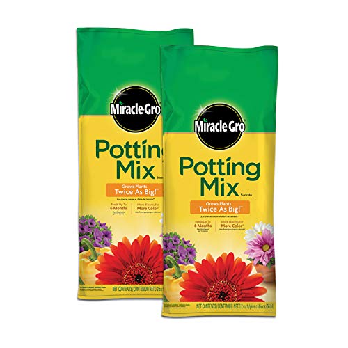 Miracle-Gro Potting Mix, Potting Soil for Indoor and Outdoor Container Plants, Enriched With Plant Food, 2 Cu. Ft. (2-Pack)