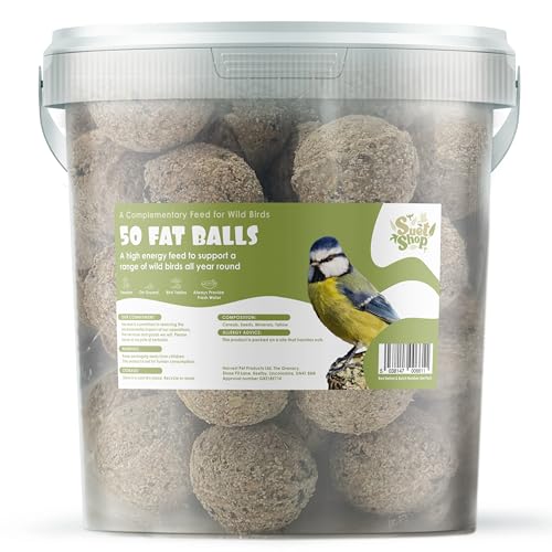 Suet Shop - 50 Suet Fat Balls, 4kg Tub - Enriched With Human Grade Beef Tallow - High Energy Bird Food With Essential Oils &amp; Protein - All-Season Fat Balls for Wild Birds - Manufactured in the Uk