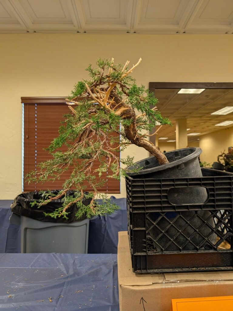 Joshua Roth Styling Competition 2025 Pictures