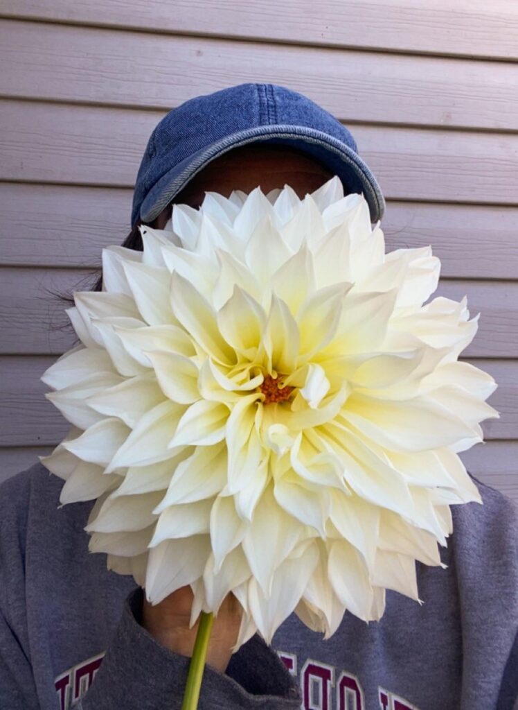 My biggest bloom this year