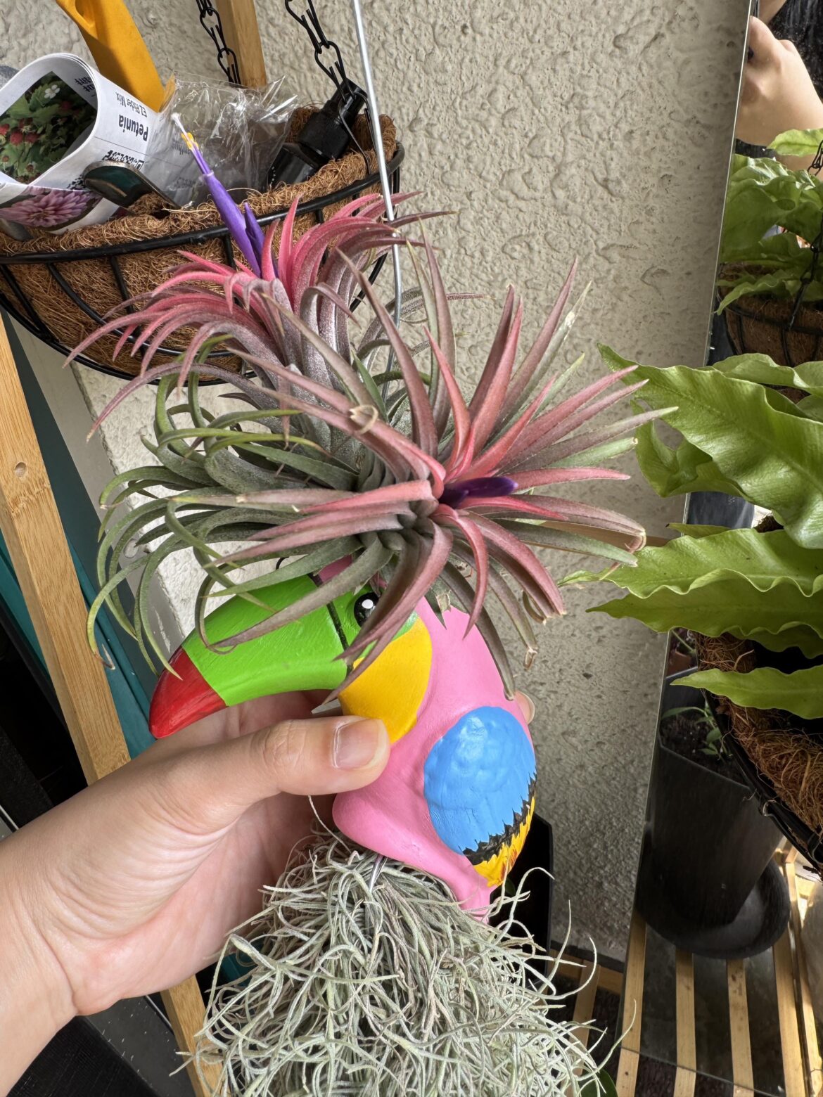 Are they stressed out?