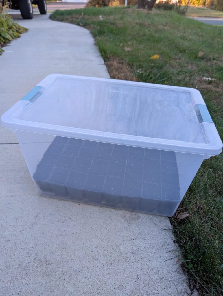 Winter sowing in totes Winter sowing in totes