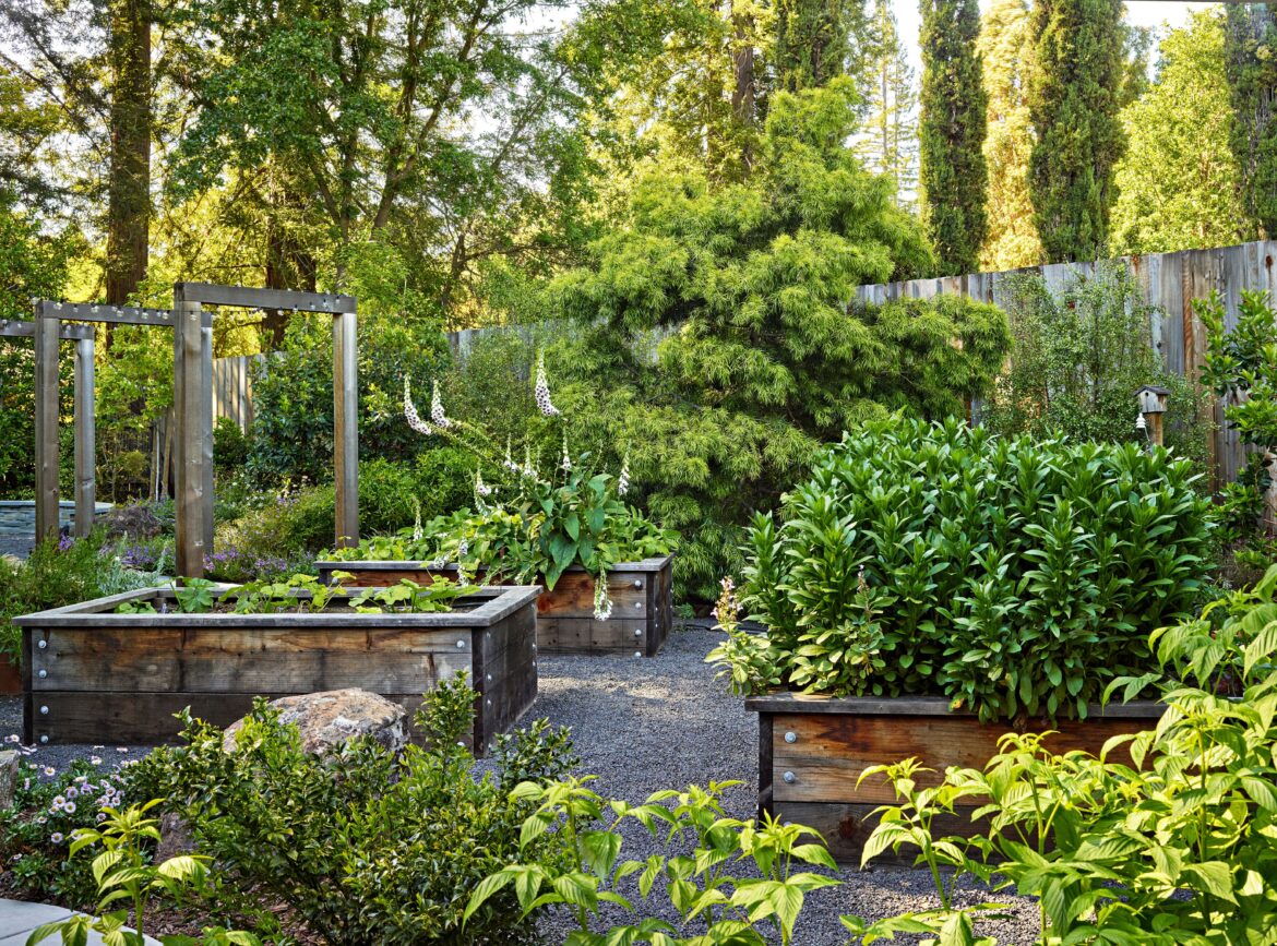 5 Expert-Backed Tips for Creating a Climate-Resilient Garden