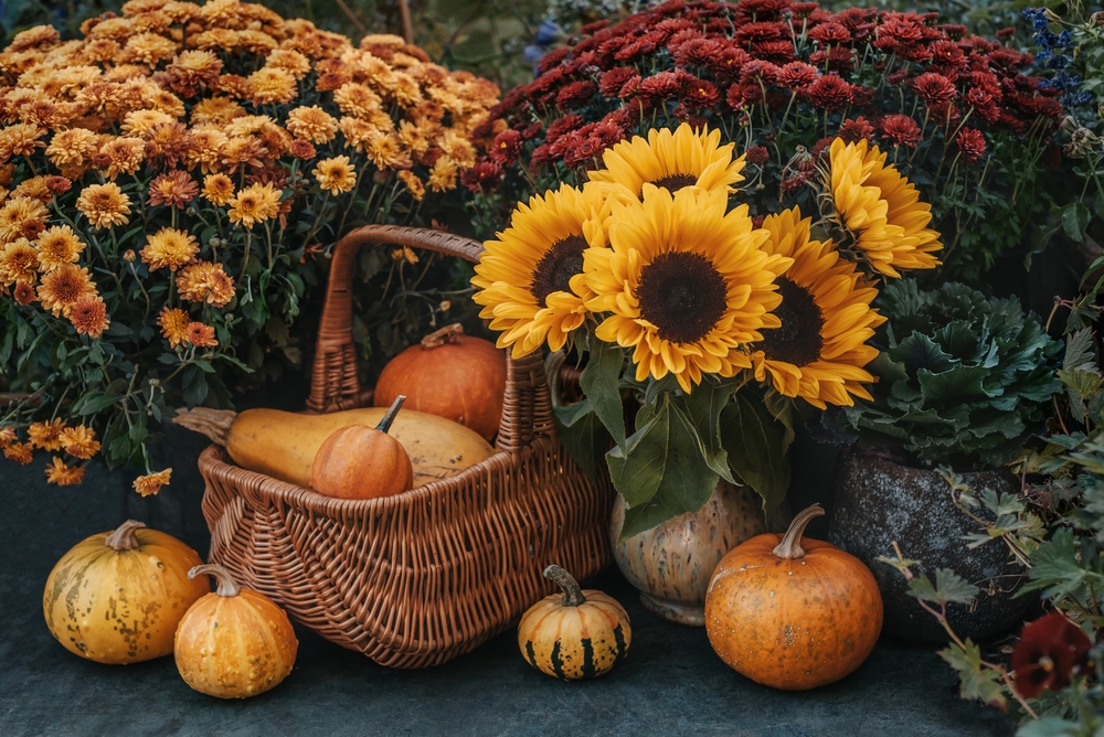 Thanksgiving garden decor with pumpkins, sunflowers