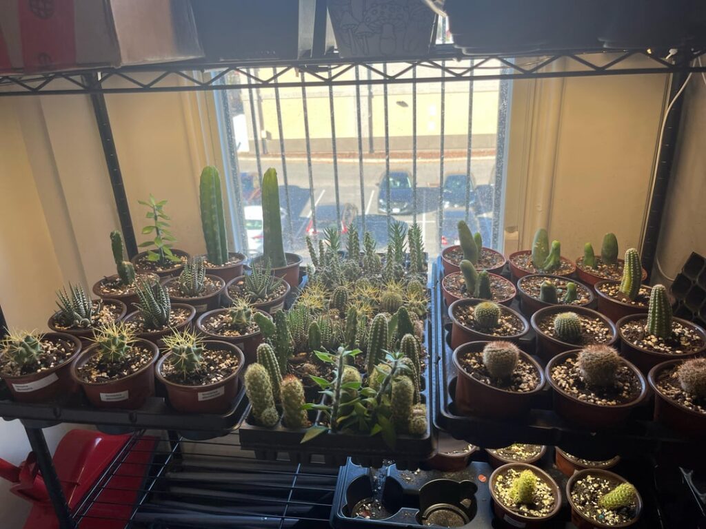 My collection My collection