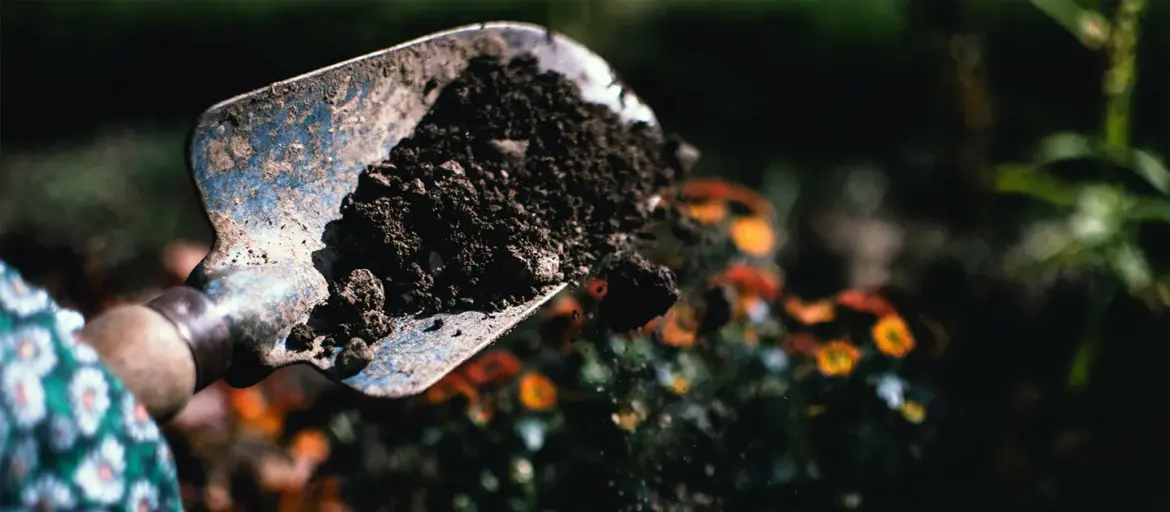 Soil Test Now for Healthier Gardens in the Spring a garden trowel with soil in it