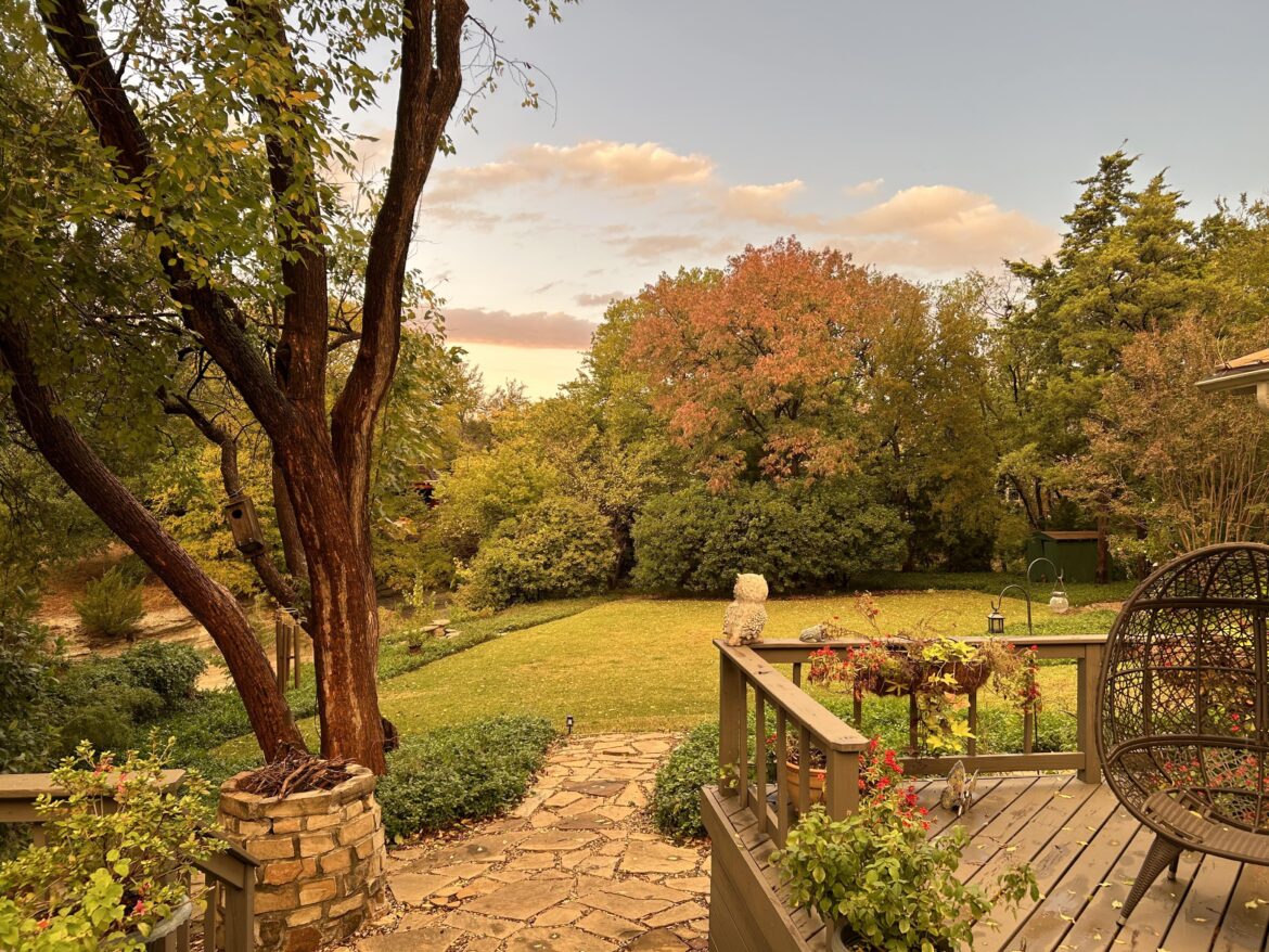 Our Backyard, Dallas. Nov 2022