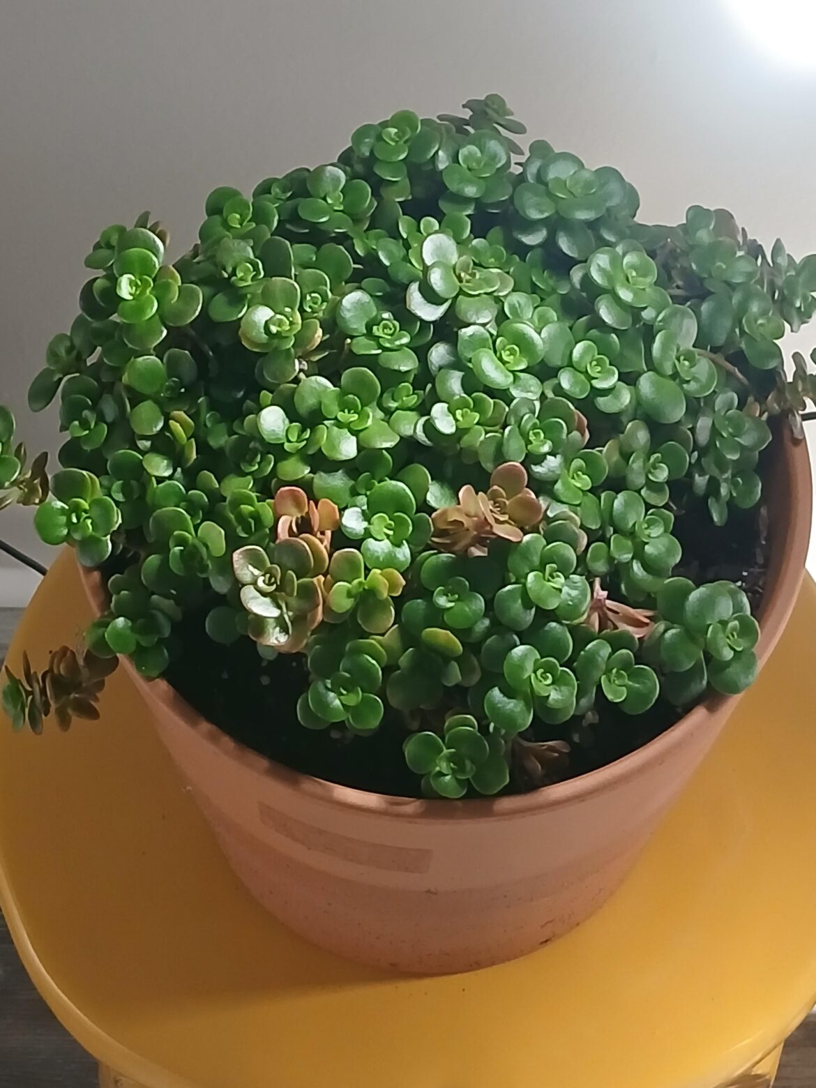 What is this?