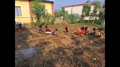 Students in remote Gadchiroli care for school kitchen garden voluntarily even on Sunday