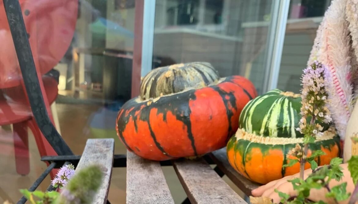 "You can tell they love the space you nurture for them."