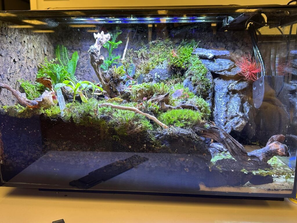 My First Paludarium