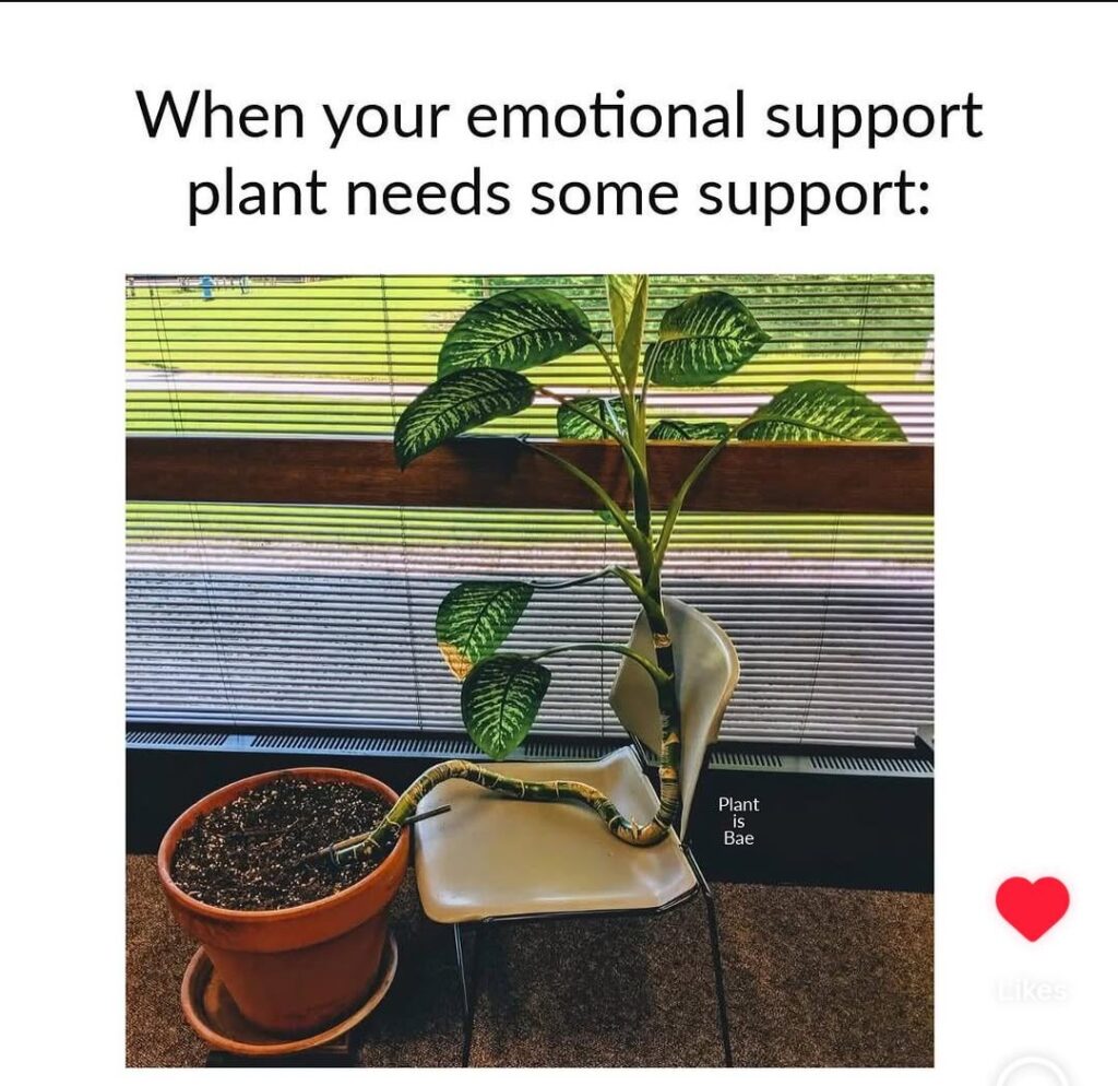Who else relate to this 😅🤩