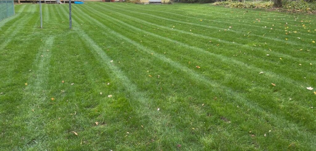 Thanks all Thanks all