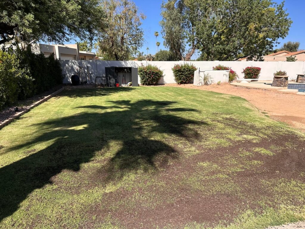 Overseed complete! Overseed complete!