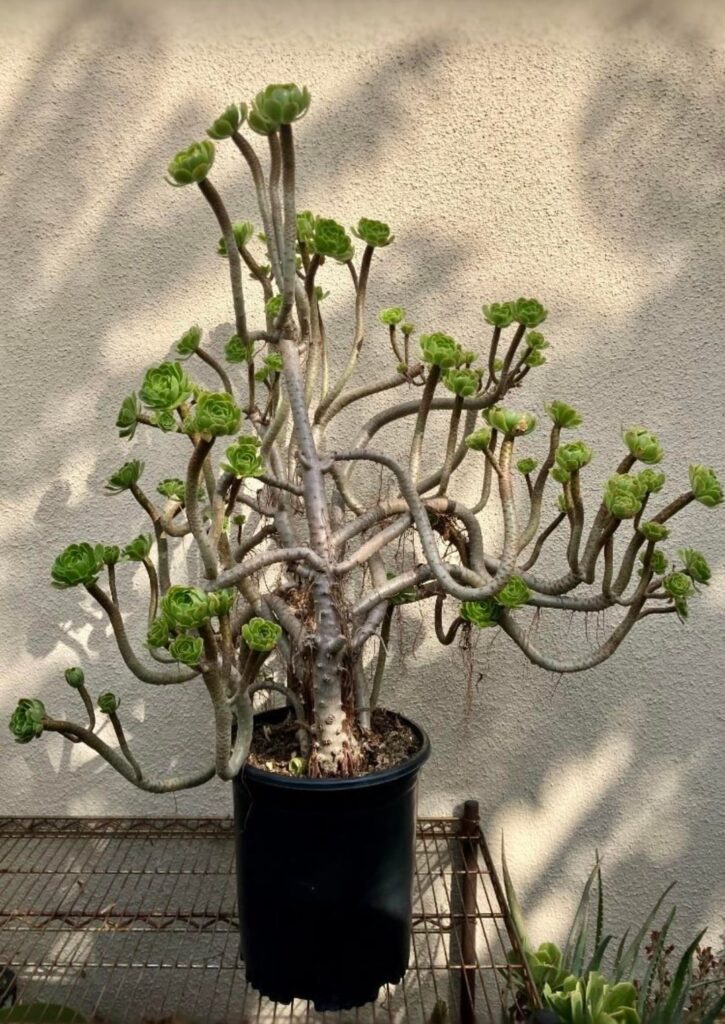 Another reason why Fall is my favorite season. Another reason why Fall is my favorite season.