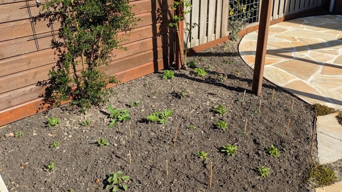 "Love seeing your vision come to life!"