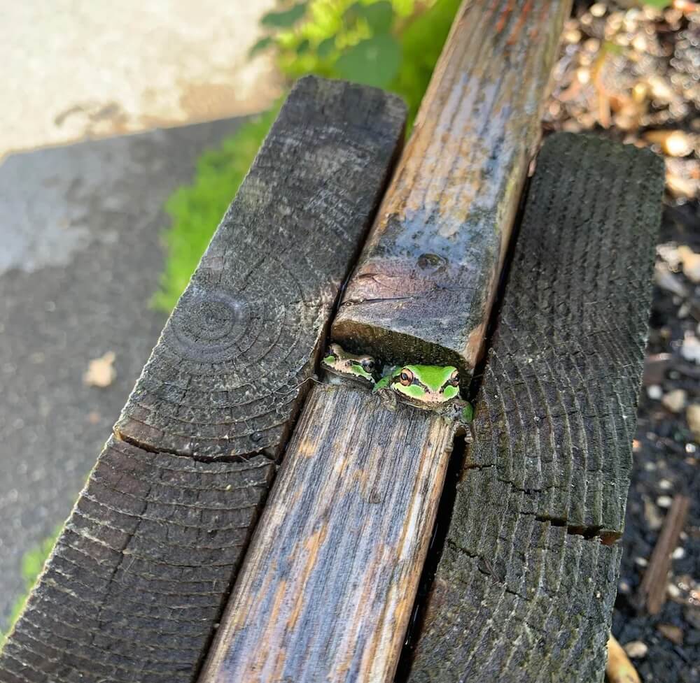 "You can tell they love the space you nurture for them."