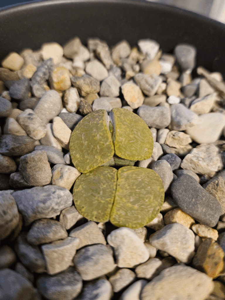 This is not a drill!! It's doing something!!