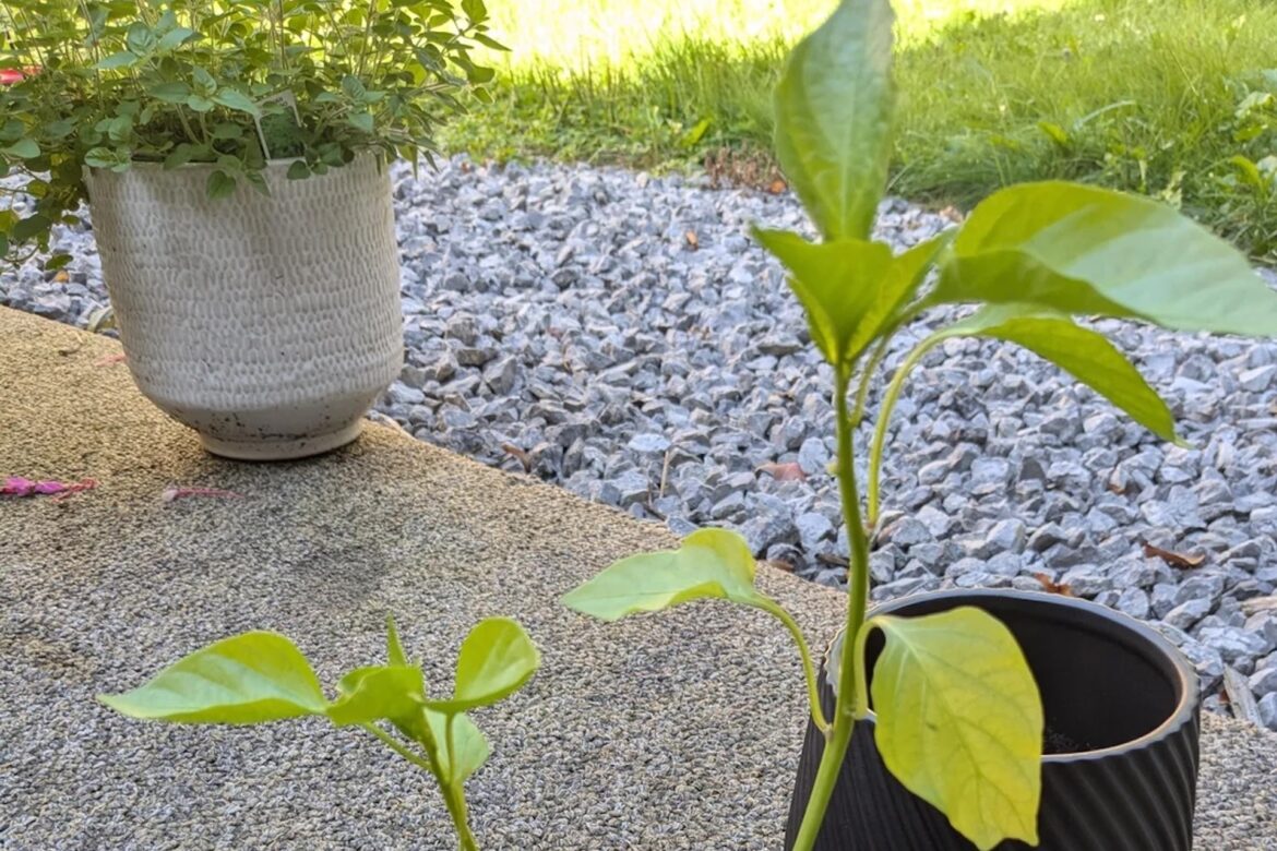 ‘He looks like he just woke up’ "I wish I had this problem."