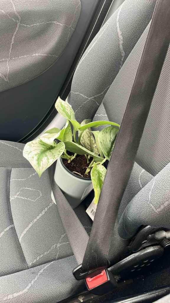 I’m out of control.