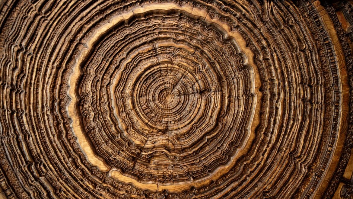 "Even without satellite or instrumental records."