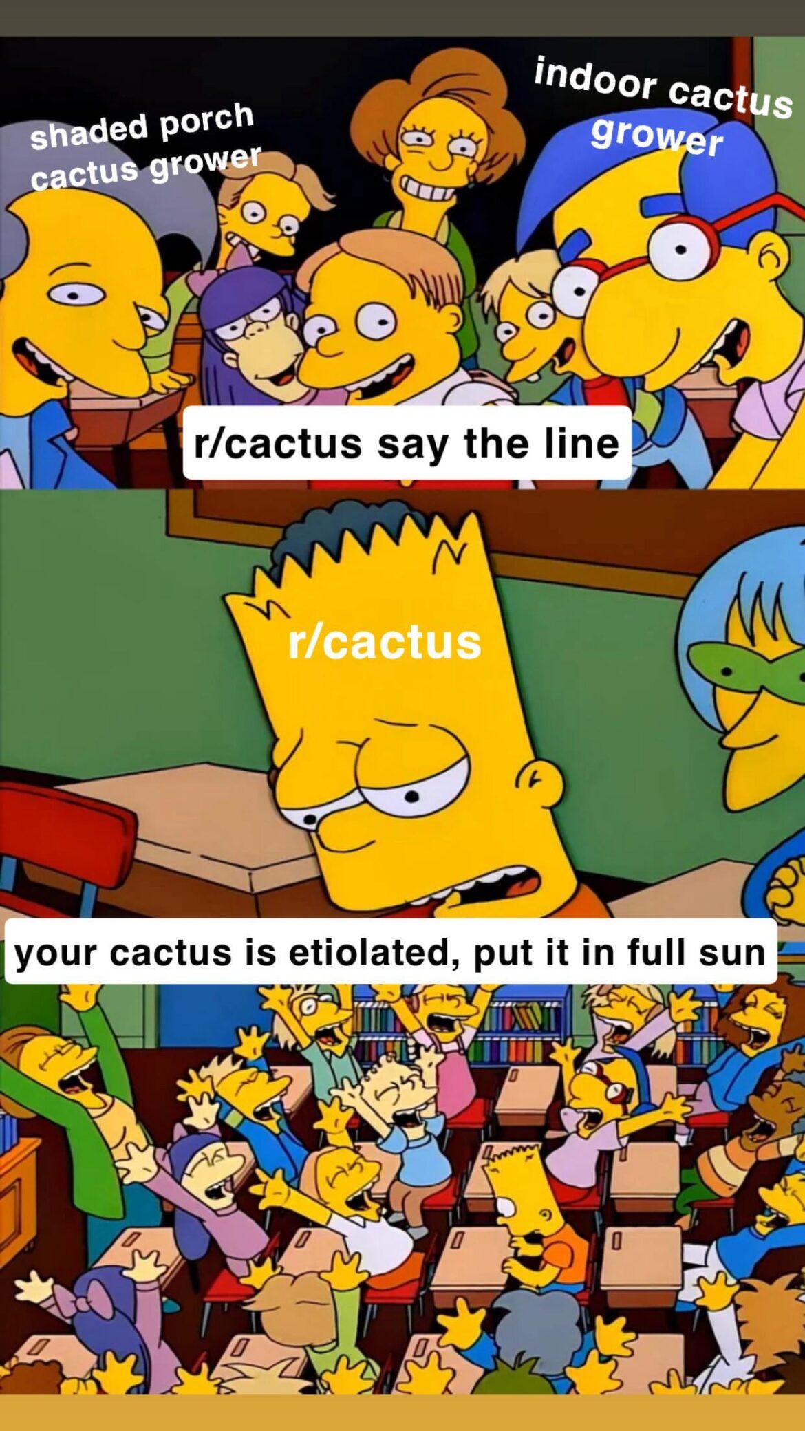 not throwing shade, but…