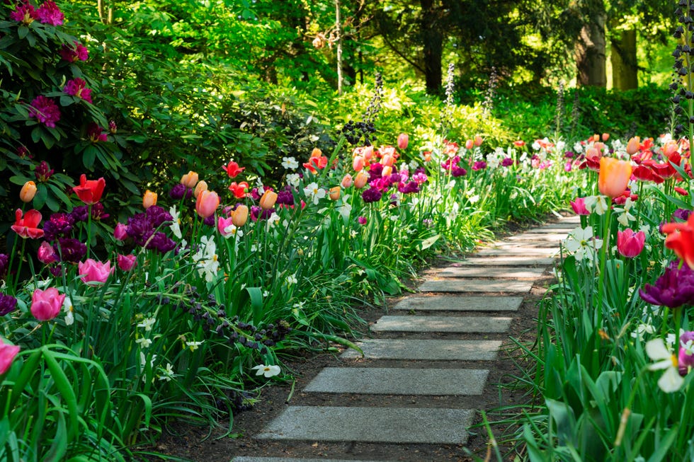 colourful tulips and spring flowers mixed flowerbeds, green grass and stone pathway in formal garden, toned