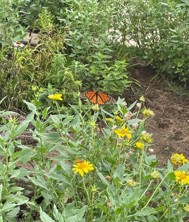 "We've had such a fun time and a lot of success."