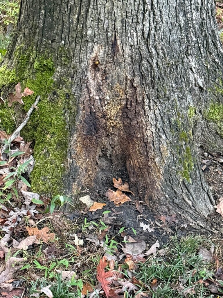 What’s going on here?