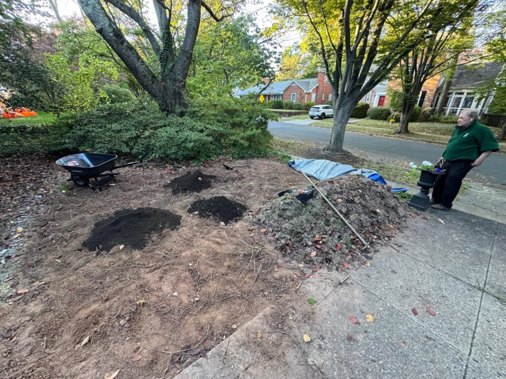 Killed the lawn