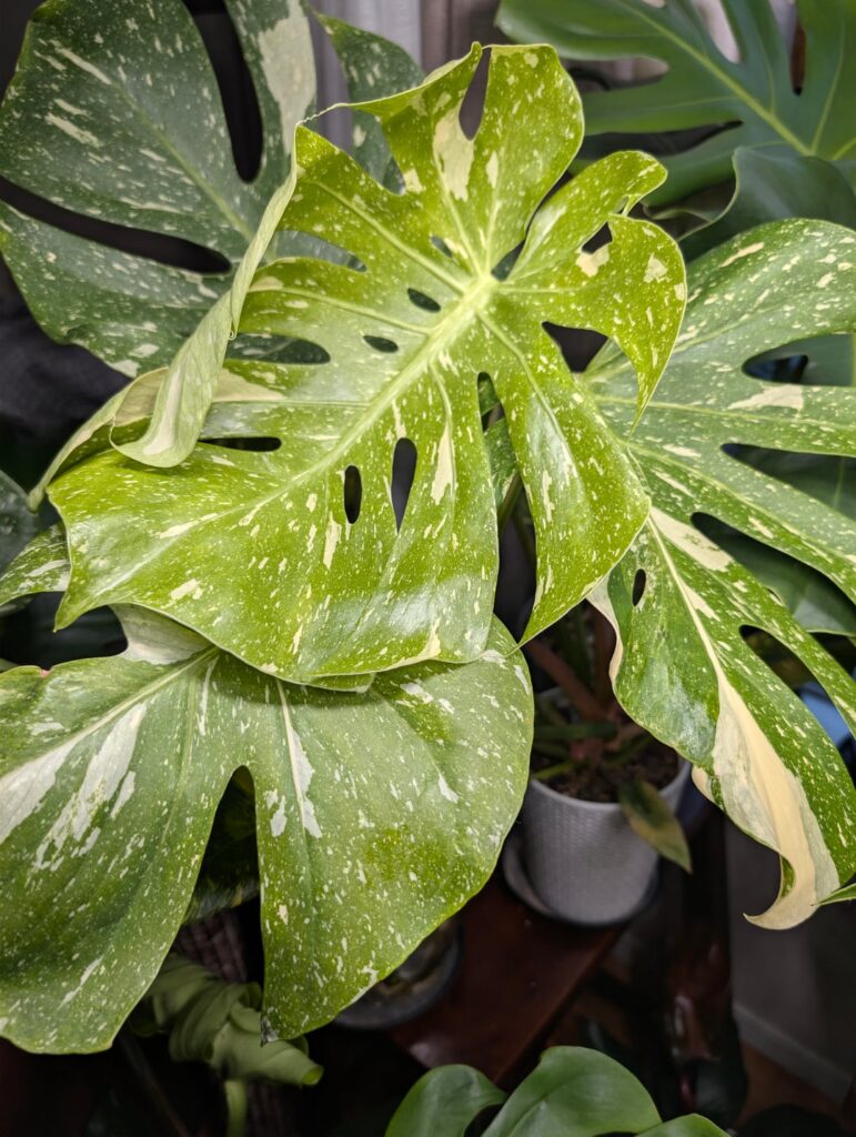 The kids are growing up so fast...