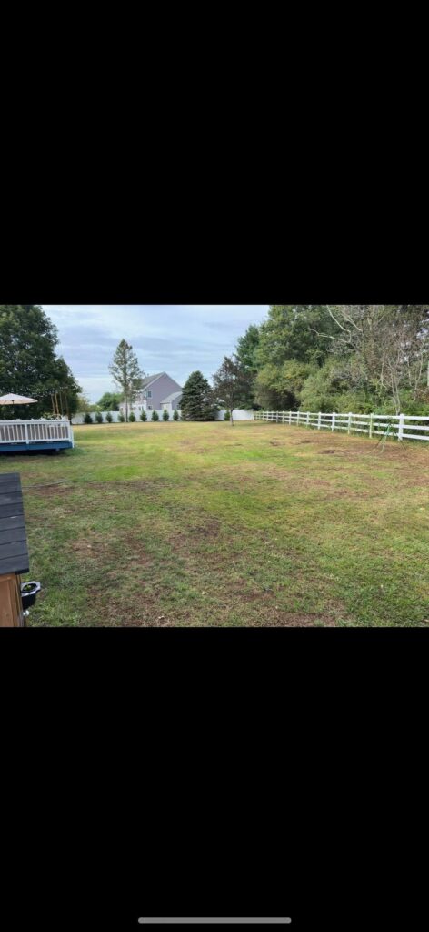 4 weeks post seeding Northeast