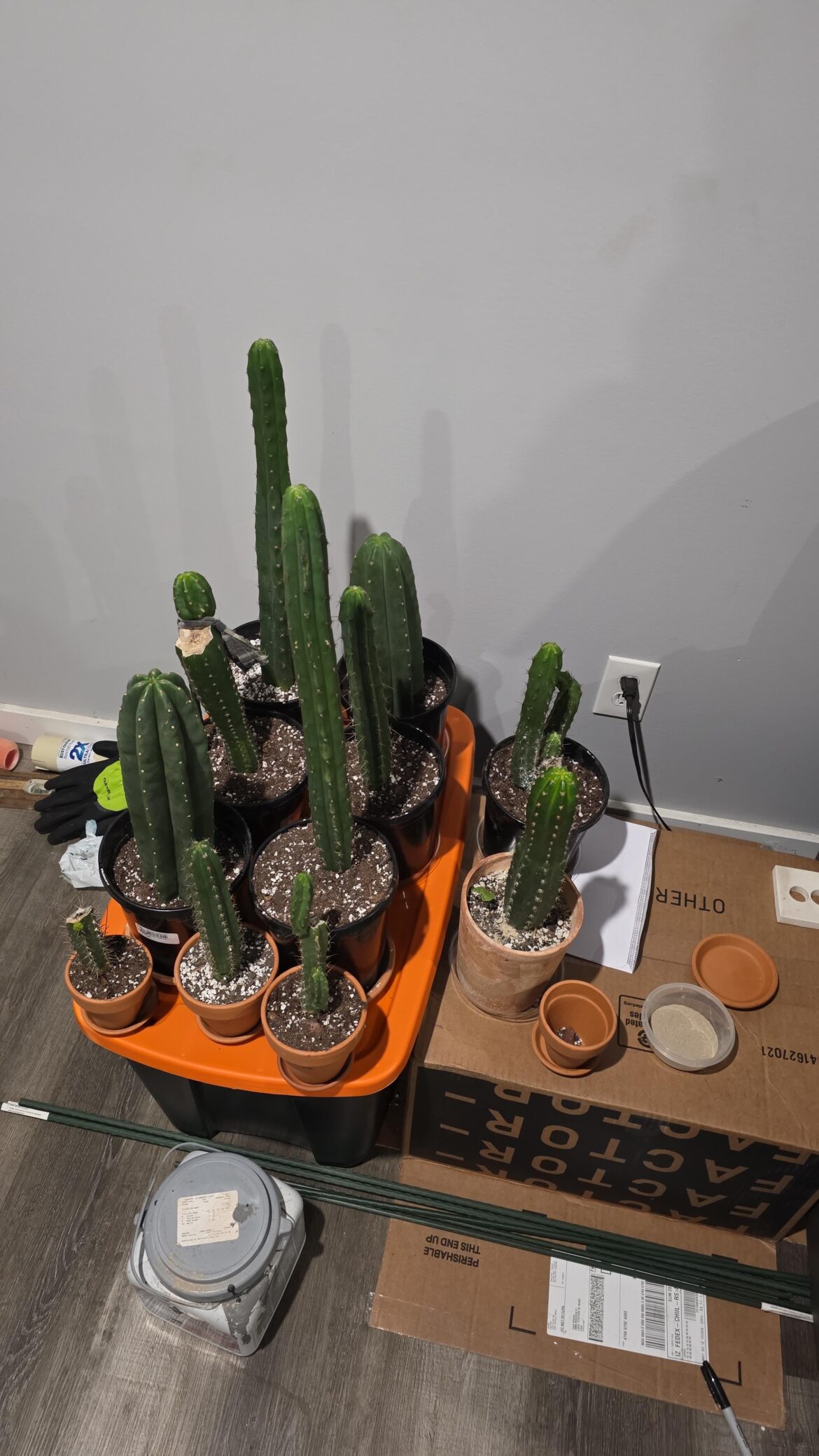 My collection