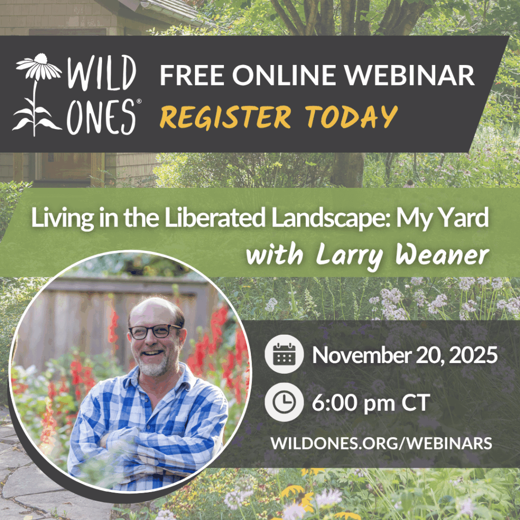 🌿 Free National Webinar 🌿
Join Wild Ones and Larry Weaner, founder of New Directions in the American Landscape, for Living in the Liberated Landscape: My Yard on Thursday, November 20, 2025, at 7 PM ET / 6 CT / 5 MT / 4 PT.