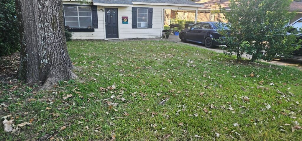 What to do with this blank canvas?