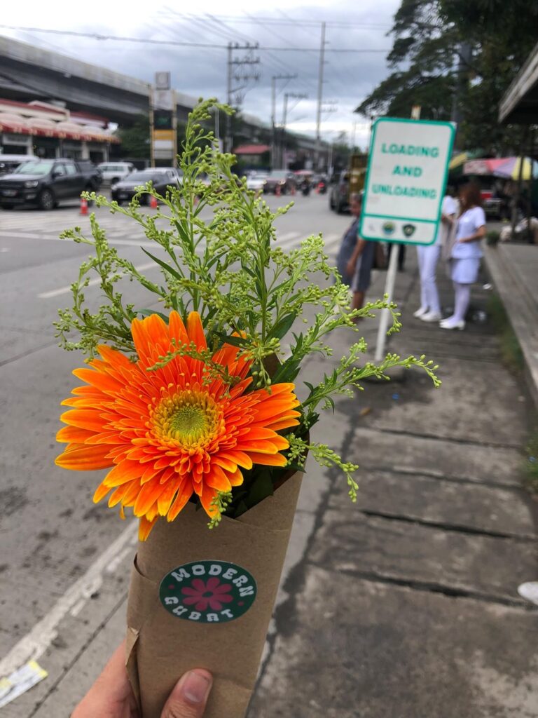 Someone just gave me a flower and I'm so touched by it, but I don't know the name of the flower