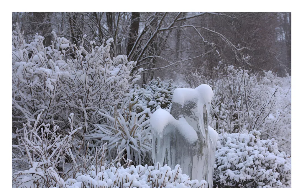 Preparing Your Garden For Winter Event in Eganville