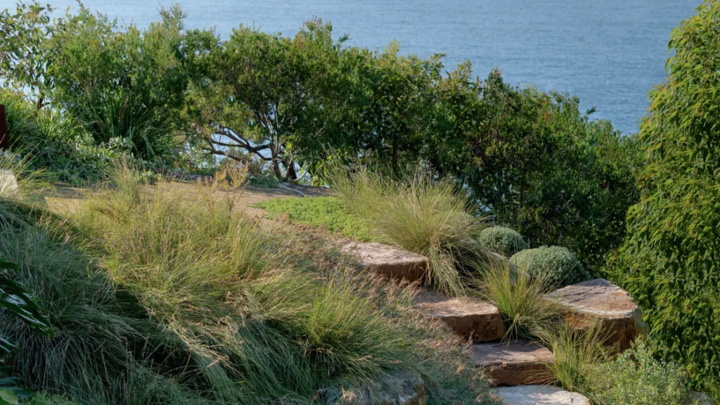 A Hardy Central Coast Garden Where the Bush Meets the Sea A Hardy Central Coast Garden Where the Bush Meets the Sea