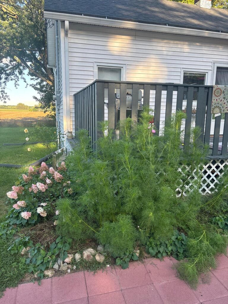 These girlies decided to go wild….