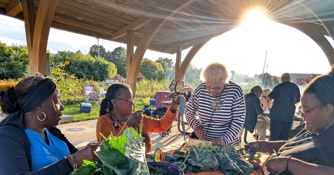 Making the most of autumn greens at Alice’s Garden | WUWM 89.7 FM Making the most of autumn greens at Alice's Garden | WUWM 89.7 FM