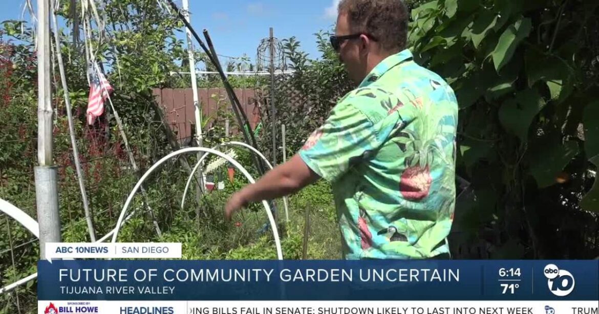 Future uncertain for Tijuana River Valley Community Garden