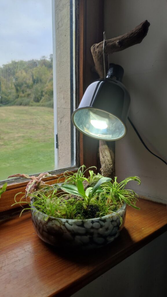 Is my bog bowl set up OK?