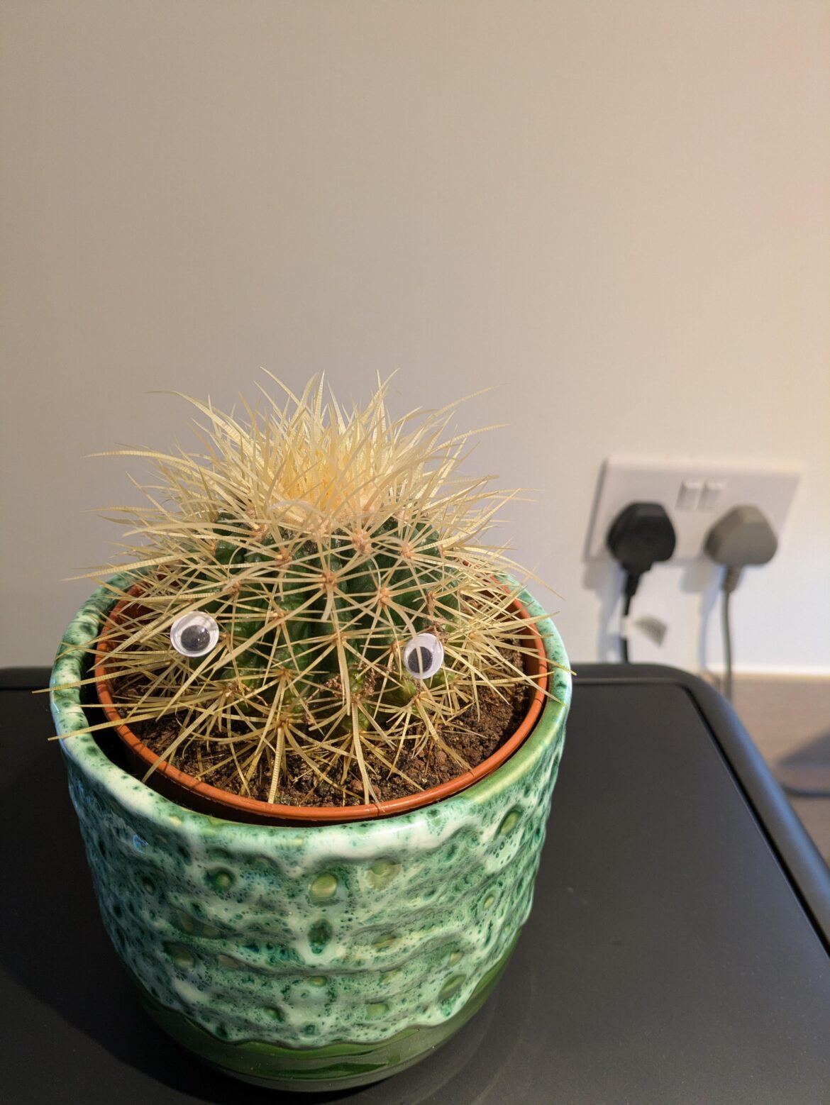 Does Hector need a new house?