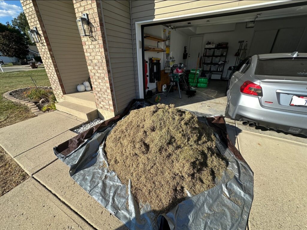 Dethatching SUCKS Dethatching SUCKS