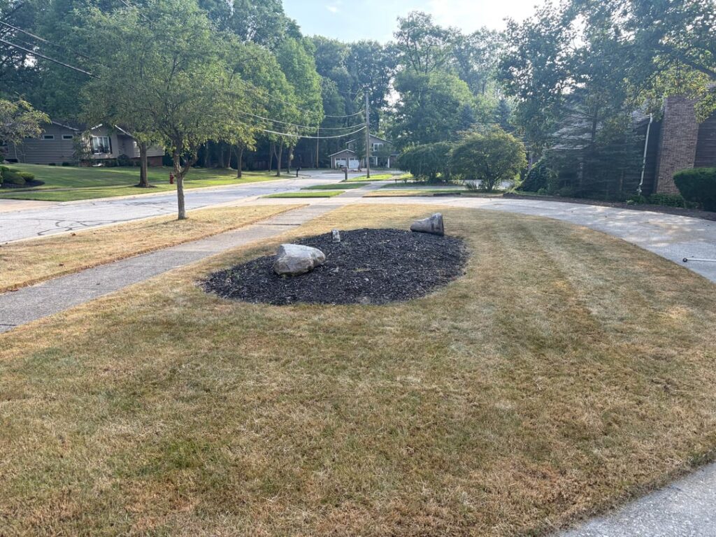 NE Ohio lawn renovation w/ pics NE Ohio lawn renovation w/ pics